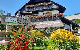 Snezak 2